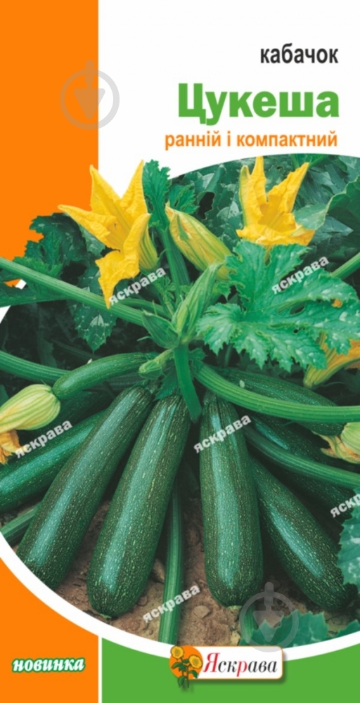 Насіння Яскрава кабачок Цукеша - фото 1 Насіння Яскрава кабачок Цукеша - фото 1