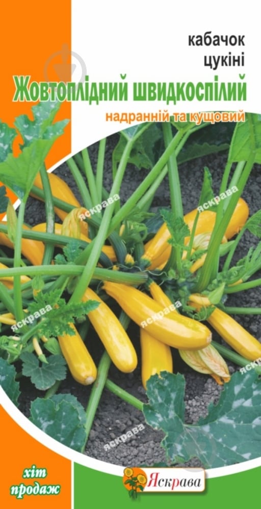 Семена Яскрава кабачок-цукини Желтоплодный - фото 1 Семена Яскрава кабачок-цукини Желтоплодный - фото 1