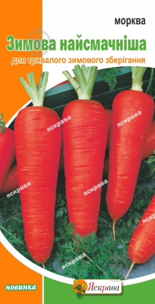 Насіння Яскрава морква Зимова найсмачніша - фото 1