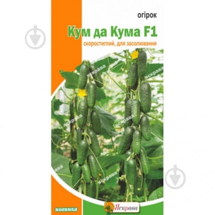 Семена Яскрава огурец Кум да Кума - фото 1