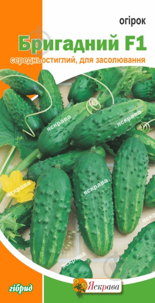 Семена Яскрава огурец бригадный F1 - фото 1