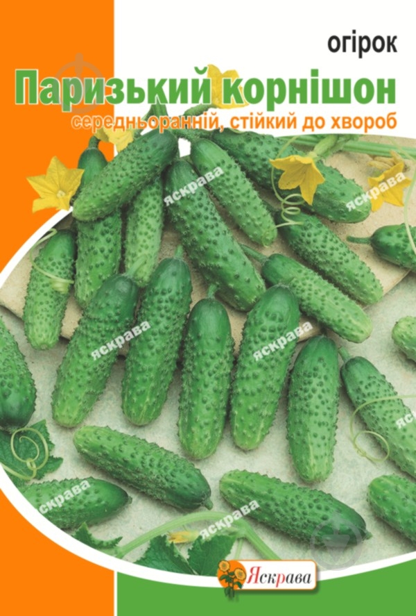 Семена Яскрава огурец ПАРИЖСКИЙ КОРНИШОН - фото 1 Семена Яскрава огурец ПАРИЖСКИЙ КОРНИШОН - фото 1