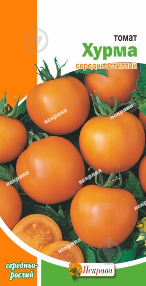 Семена Яскрава томат Хурма - фото 1 Семена Яскрава томат Хурма - фото 1