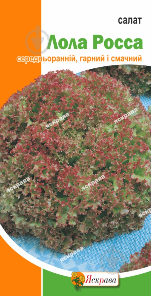 Насіння Яскрава салат Лола Росса - фото 1 Насіння Яскрава салат Лола Росса - фото 1
