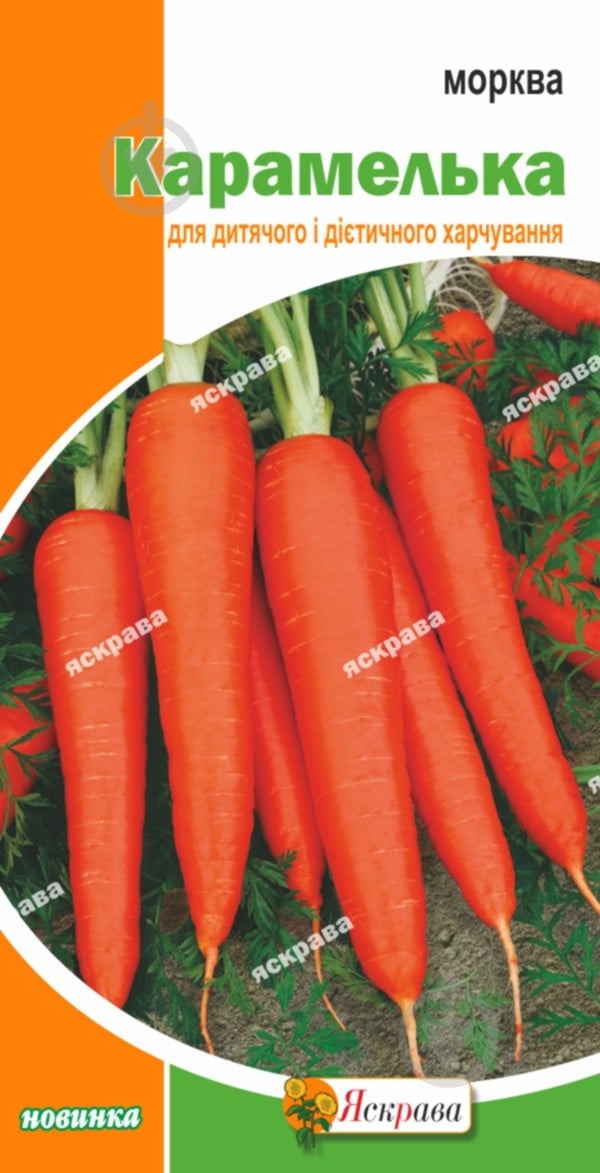 Семена Яскрава морковь Карамелька - фото 1