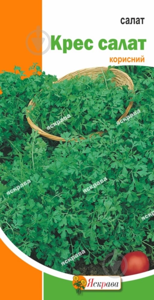 Семена Яскрава салат Кресс - фото 1 Семена Яскрава салат Кресс - фото 1
