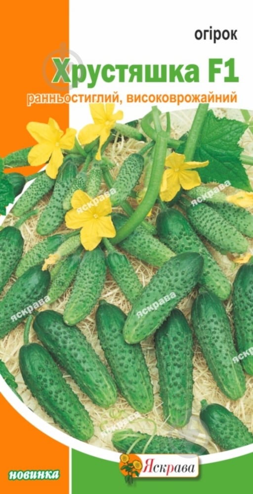 Семена Яскрава огурец Хрустяшка F1 - фото 1