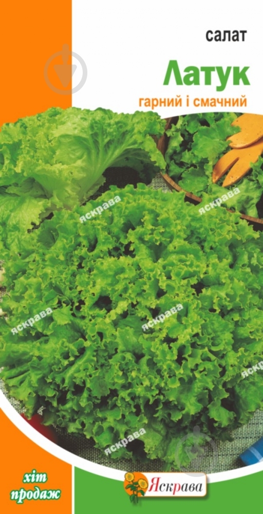 Семена Яскрава салат Латук - фото 1