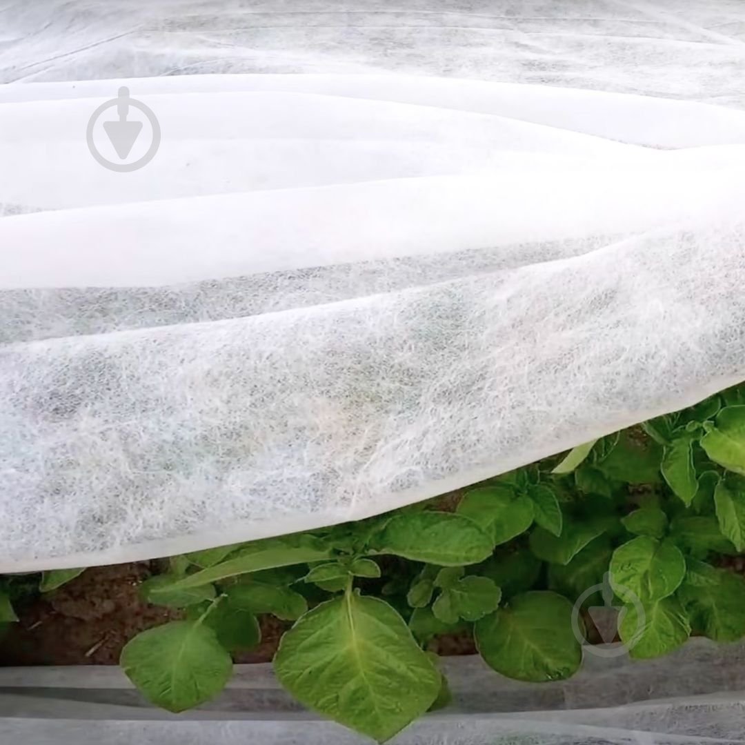 Агроволокно Agreen 23 UV белое 3,2х10 м - фото 7