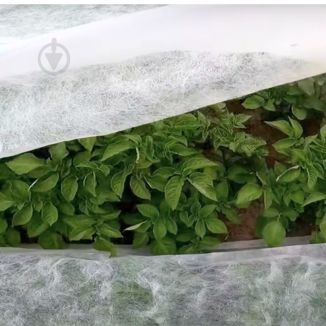 Агроволокно Agreen 23 UV белое 3,2х10 м - фото 8