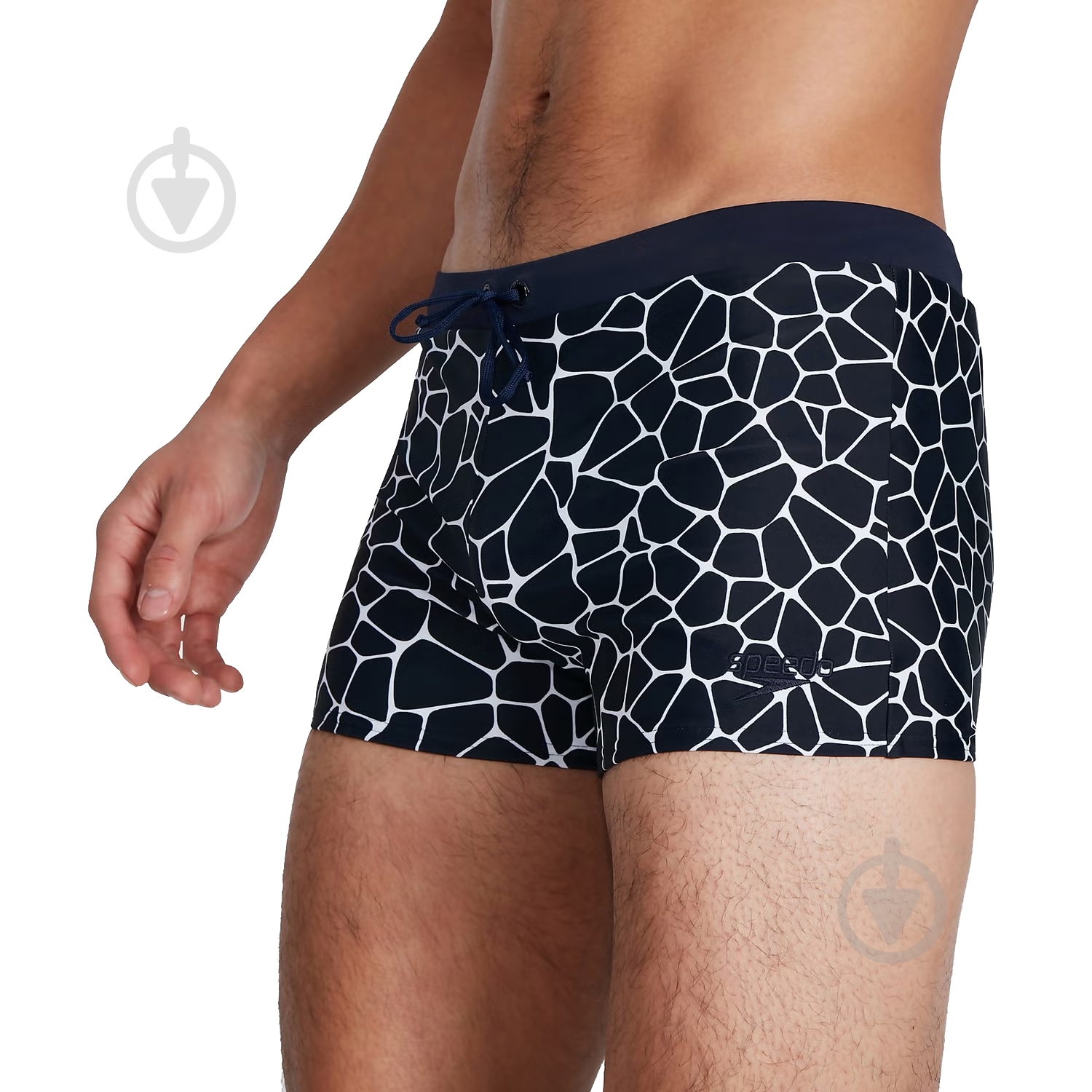 Плавки Speedo VALMILTON ASHT AM 8-05658D870 р.32 синий - фото 4