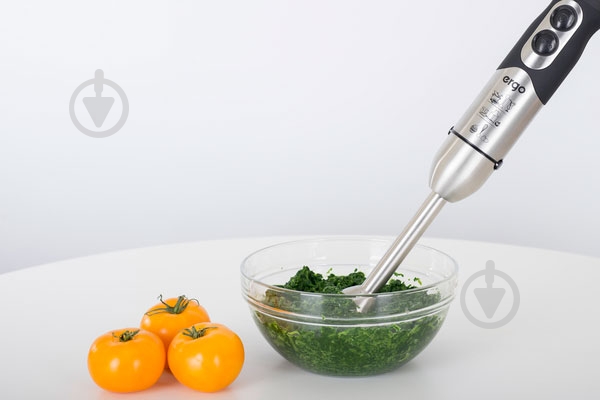 Блендер погружной Ergo EHB 5000 - фото 10