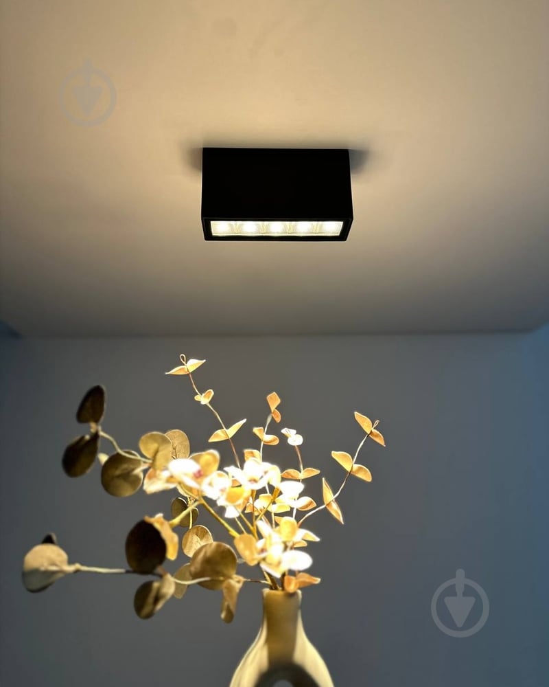 Светильник настенно-потолочный Nowodvorski Pix 1x10 Вт LED-модуль черный 11367 - фото 5 Светильник настенно-потолочный Nowodvorski Pix 1x10 Вт LED-модуль черный 11367 - фото 5