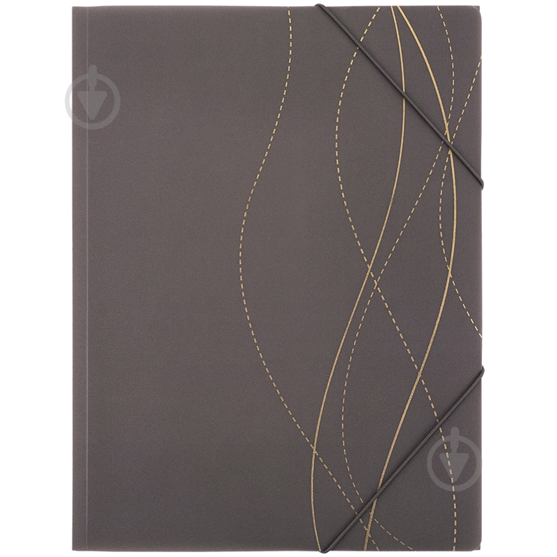 Папка на резинке Waves-4 А4 Axent 1509-43-A - фото 1