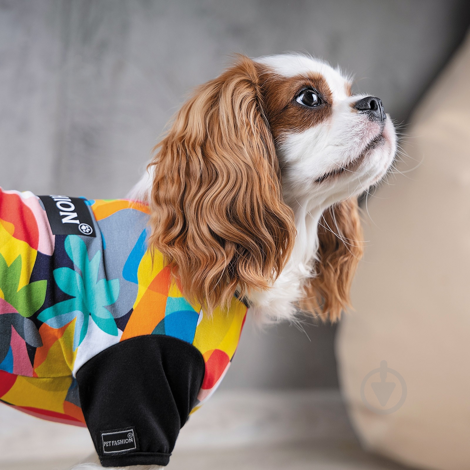 Футболка Природа Mood размер XХS (PR242080) - фото 3 Футболка Природа Mood размер XХS (PR242080) - фото 3