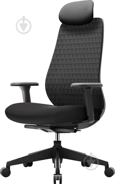 Кресло офисное OfficePro Omnis OC640B черный - фото 1