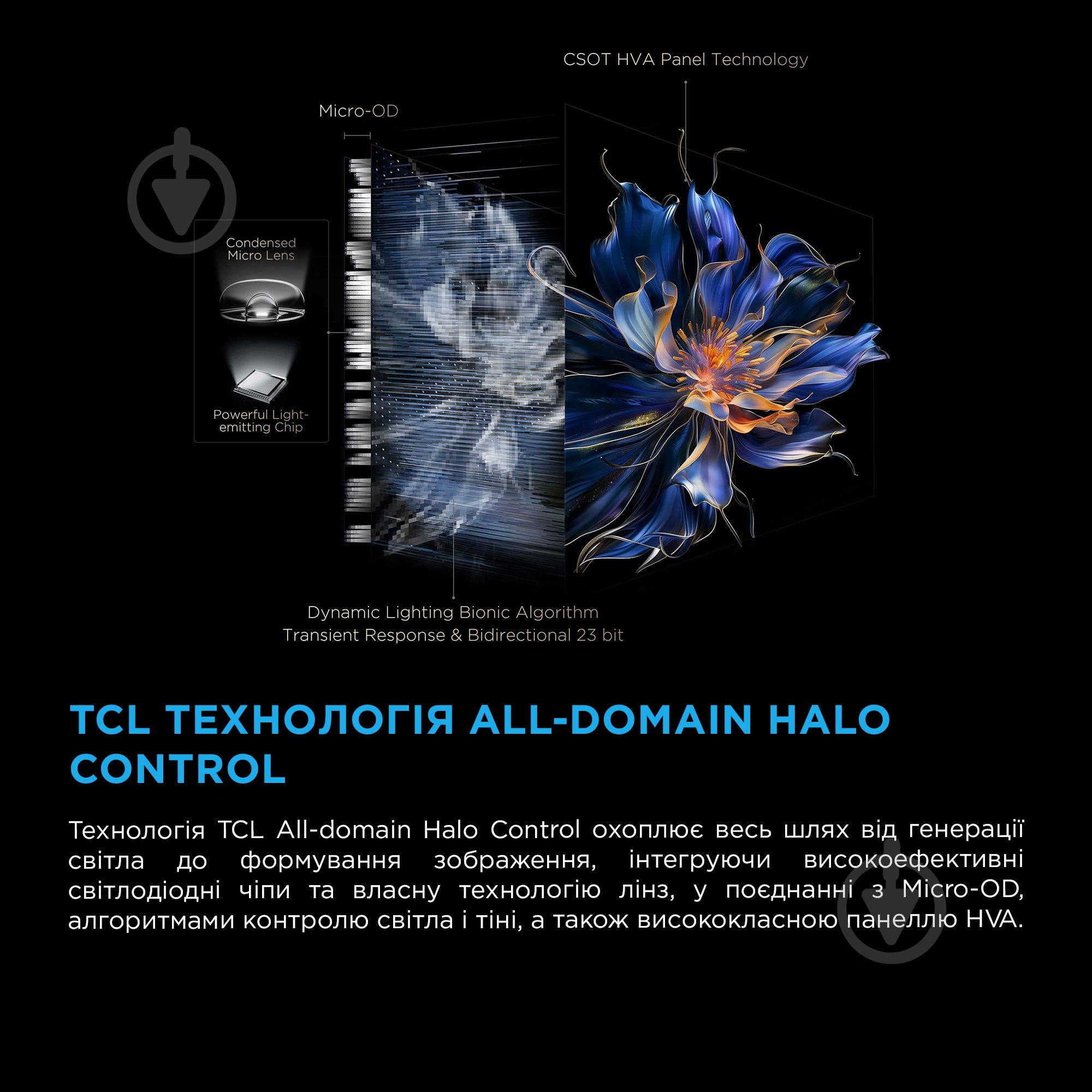 Телевизор TCL 50C6KS - фото 8