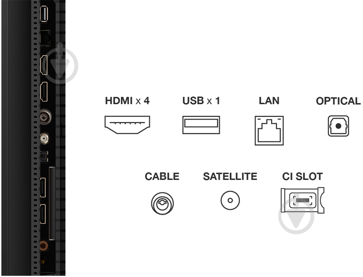 Телевизор TCL 50C6K - фото 3
