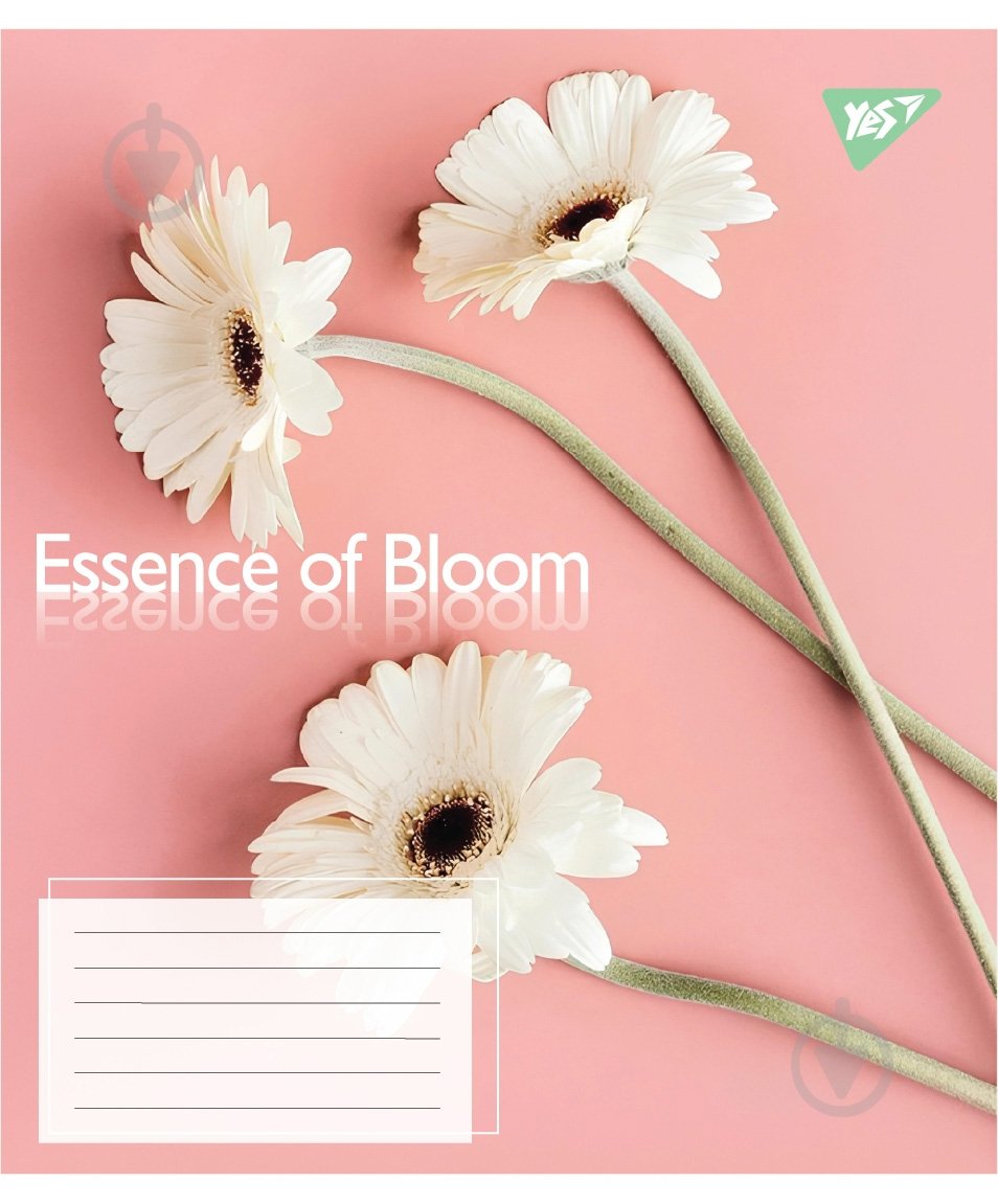 Набір шкільних зошитів Essence of Bloom 24 аркуші клітинка 5 шт. YES - фото 2 Набір шкільних зошитів Essence of Bloom 24 аркуші клітинка 5 шт. YES - фото 2