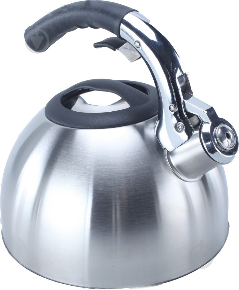 Чайник Flamberg Premium Steel X 2,6 л EB-WX-4201 - фото 1