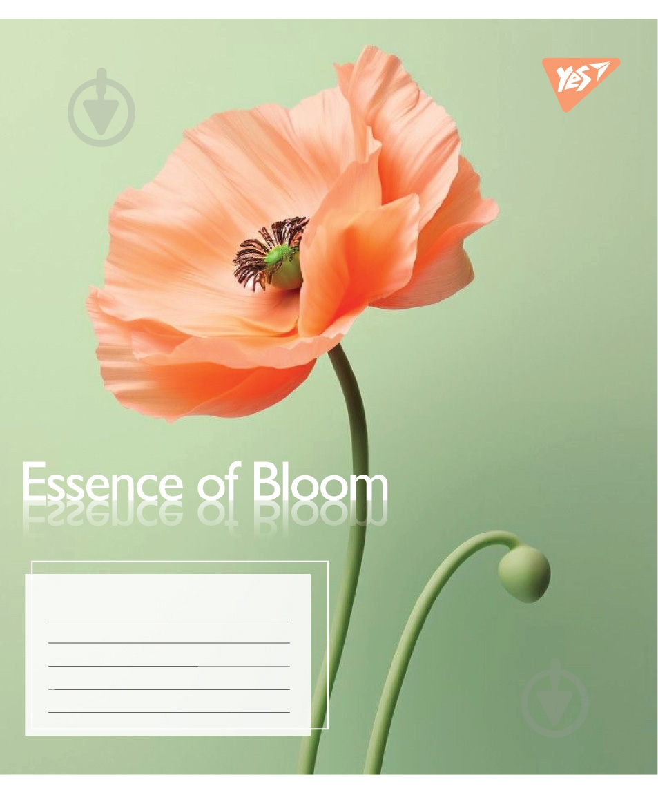 Набір шкільних зошитів Essence of Bloom 60 аркушів клітинка 5 шт. YES - фото 5