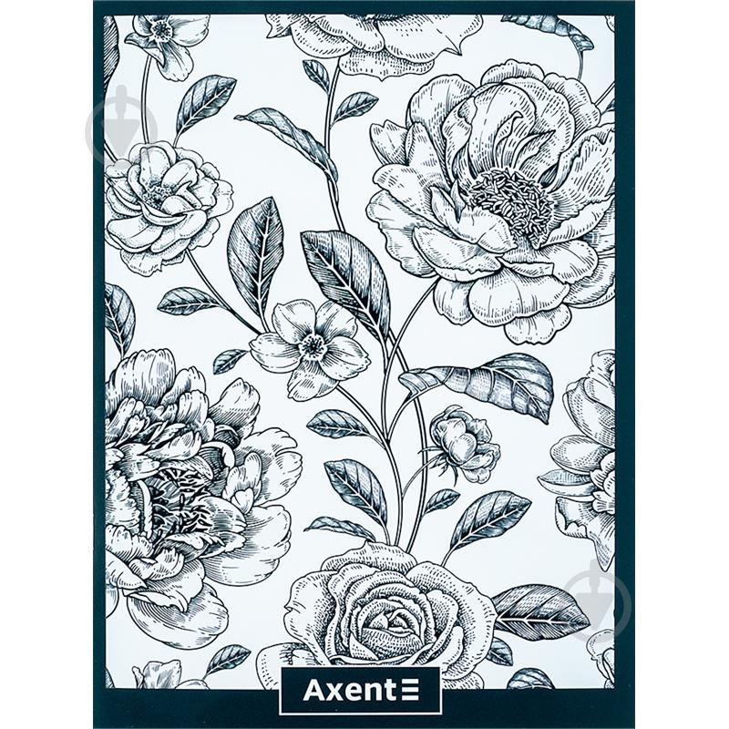 Тетрадь Axent для записей А4 48 лист. 4780-5-A - фото 1 Тетрадь Axent для записей А4 48 лист. 4780-5-A - фото 1