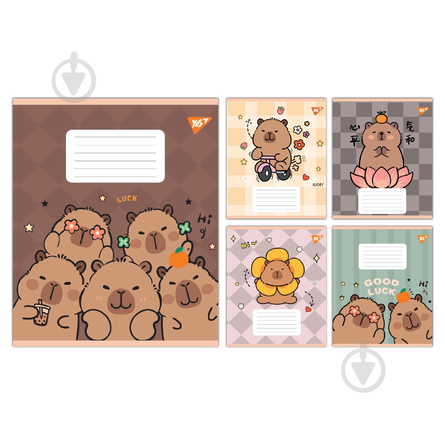 Набор школьных тетрадей Capy Tay 24 листа линия 5 шт. YES - фото 1