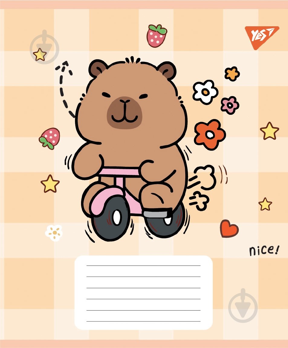 Набор школьных тетрадей Capy Tay 24 листа линия 5 шт. YES - фото 3