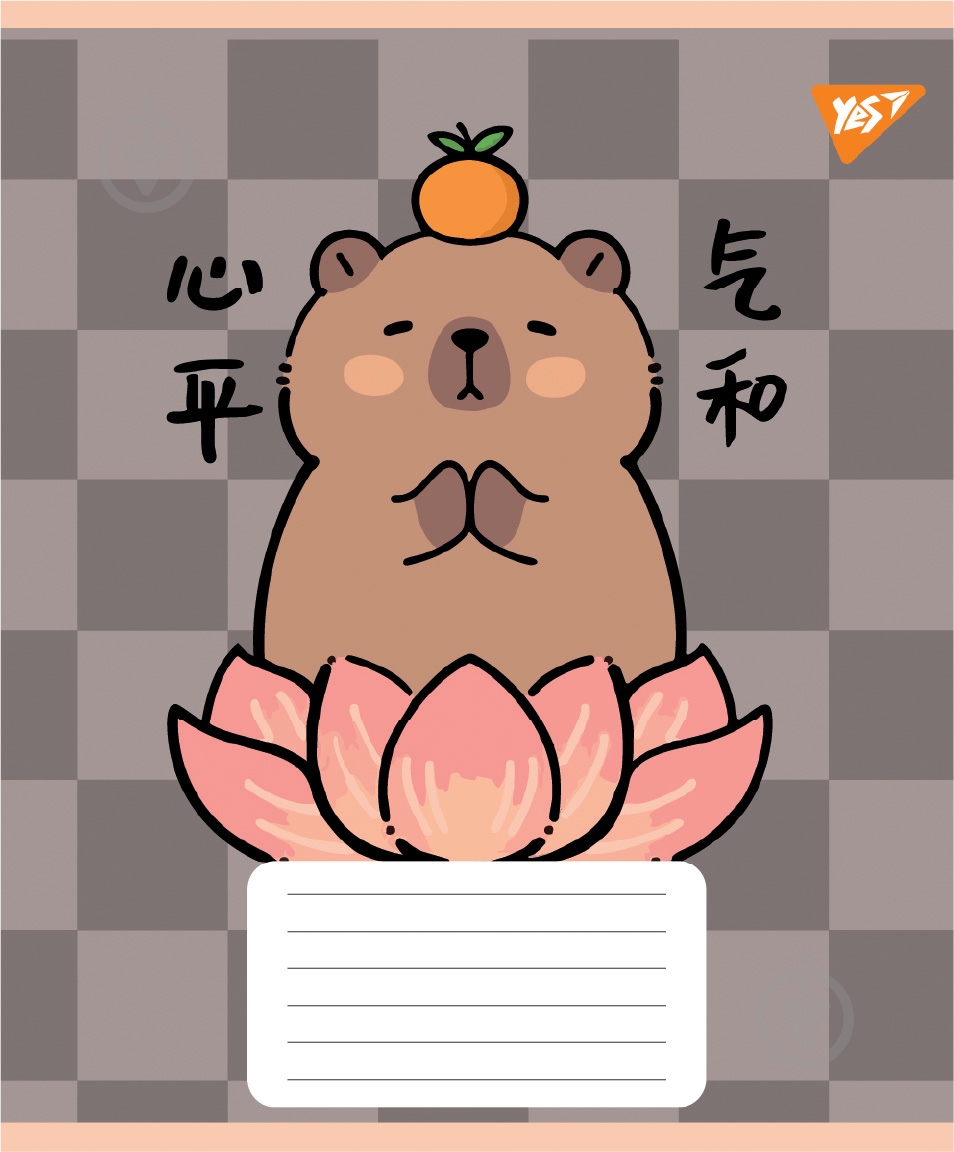 Набор школьных тетрадей Capy Tay 24 листа линия 5 шт. YES - фото 5