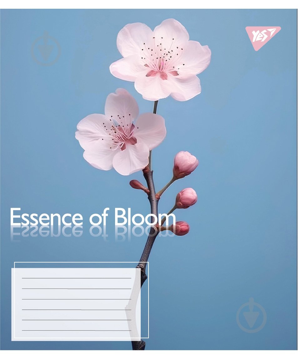 Набір шкільних зошитів Essence of Bloom 48 аркушів лінія 5 шт. YES - фото 3 Набір шкільних зошитів Essence of Bloom 48 аркушів лінія 5 шт. YES - фото 3