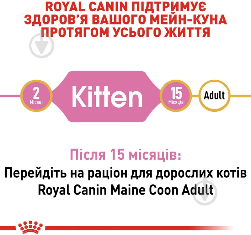 Корм сухой для котят породы мейн-кун в возрасте до 15 месяцев Royal Canin Maine Coon Kitten домашняя птица, кукуруза, рис 2 кг - фото 3