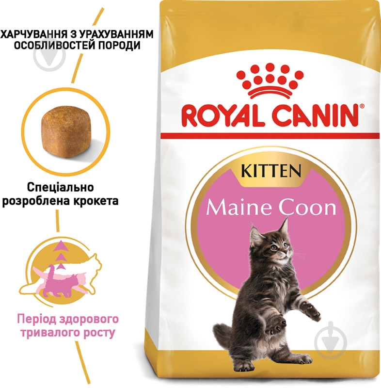 Корм сухой для котят породы мейн-кун в возрасте до 15 месяцев Royal Canin Maine Coon Kitten домашняя птица, кукуруза, рис 2 кг - фото 2