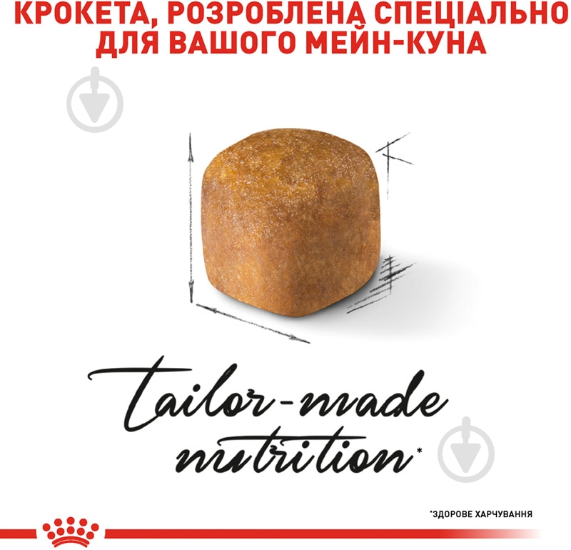 Корм сухой для котят породы мейн-кун в возрасте до 15 месяцев Royal Canin Maine Coon Kitten домашняя птица, кукуруза, рис 2 кг - фото 4