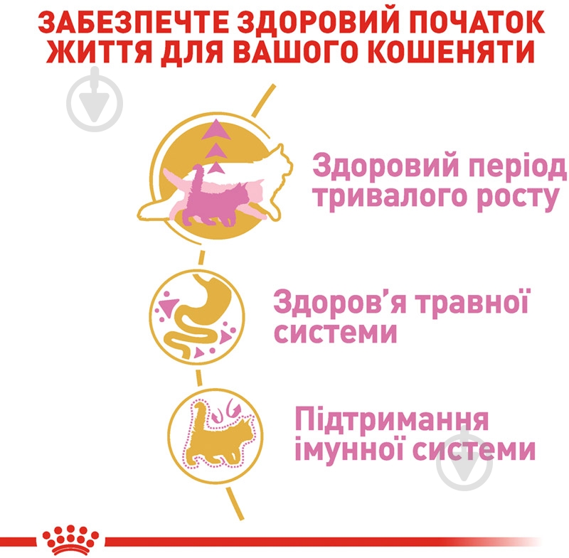 Корм сухой для котят породы мейн-кун в возрасте до 15 месяцев Royal Canin Maine Coon Kitten домашняя птица, кукуруза, рис 2 кг - фото 5