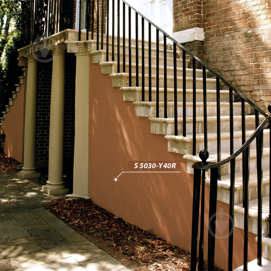 Фарба латексна Feidal Schutzfarbe мат база під тонування 5 л - фото 4