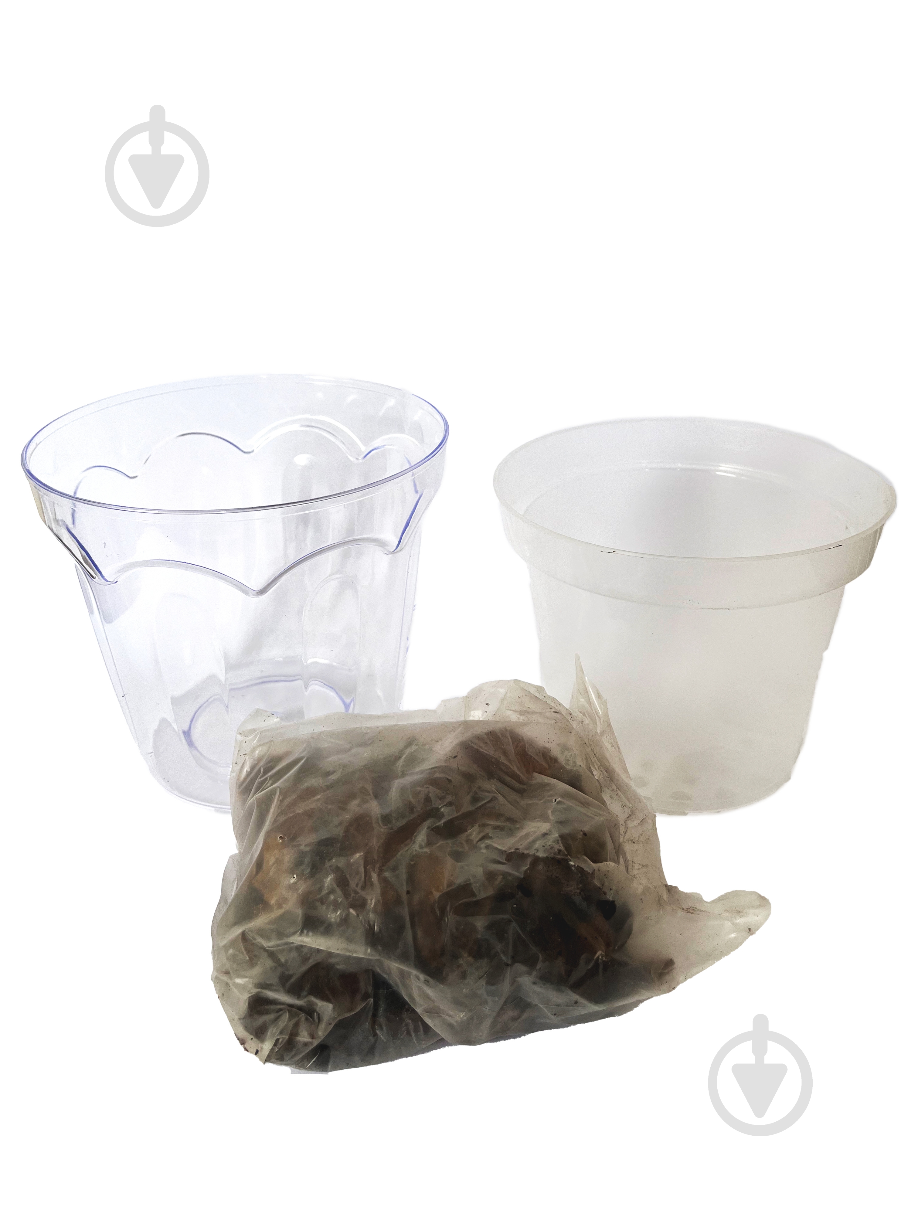 Кашпо для орхидей пластик КОЛИЗЕЙ с орхидейным субстратом D184 круглый прозрачный 0,5 л - фото 2 Кашпо для орхидей пластик КОЛИЗЕЙ с орхидейным субстратом D184 круглый прозрачный 0,5 л - фото 2