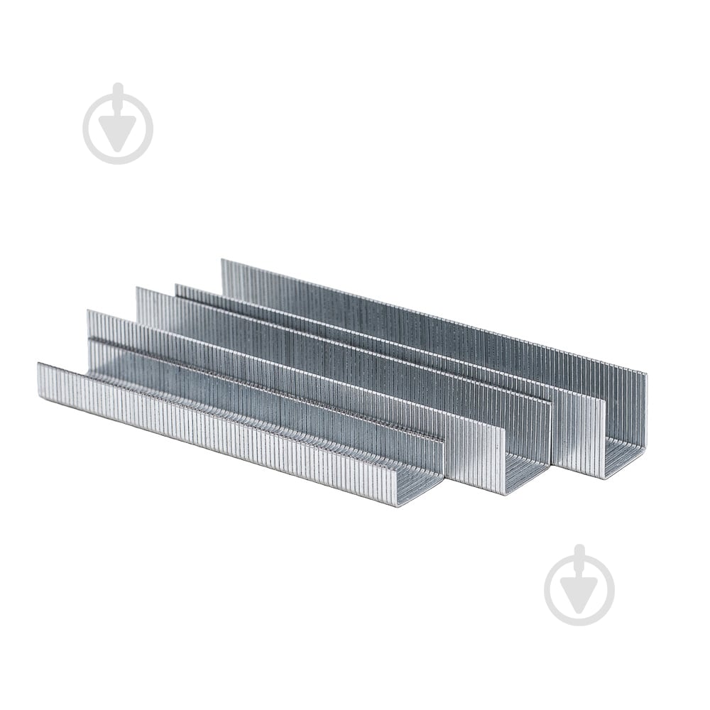 Скобы Sigma 6 мм 1000 шт. 2811061 - фото 2