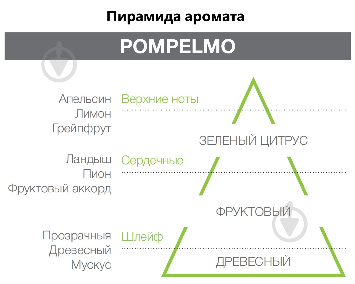 Аромадиффузор для дома Hypno Casa Pompelmo 200 мл (парфюм + палочки) - фото 2
