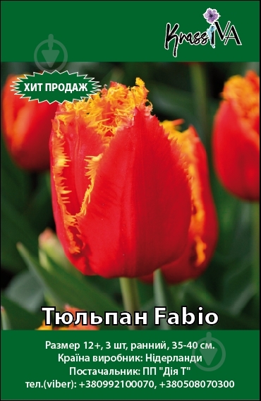Цибулина Тюльпан Fabio 3 шт. - фото 1 Цибулина Тюльпан Fabio 3 шт. - фото 1