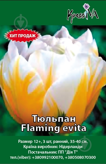 Цибулина Тюльпан Flaming evita 3 шт. - фото 1 Цибулина Тюльпан Flaming evita 3 шт. - фото 1