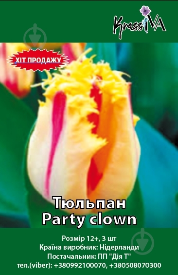 Луковица Тюльпан Party clown 3 шт. - фото 1 Луковица Тюльпан Party clown 3 шт. - фото 1