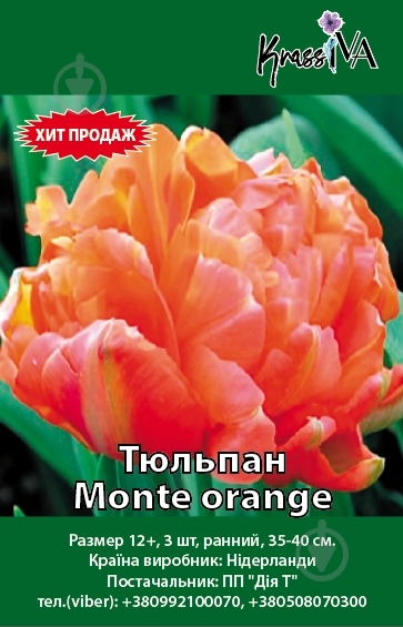 Луковица Тюльпан Monte orange 3 шт. - фото 1 Луковица Тюльпан Monte orange 3 шт. - фото 1