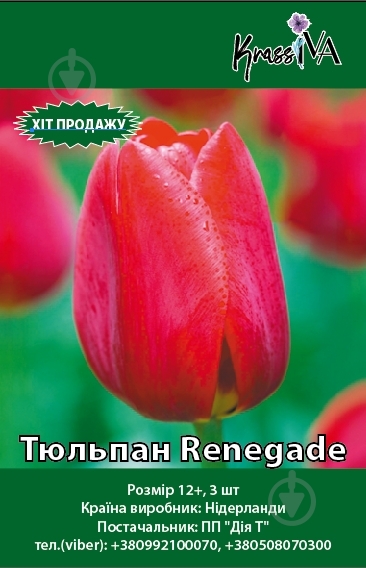 Луковица Тюльпан Renegade 3 шт. - фото 1 Луковица Тюльпан Renegade 3 шт. - фото 1