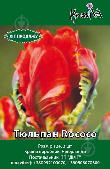 Луковица Тюльпан Rococo 3 шт. - фото 1 Луковица Тюльпан Rococo 3 шт. - фото 1
