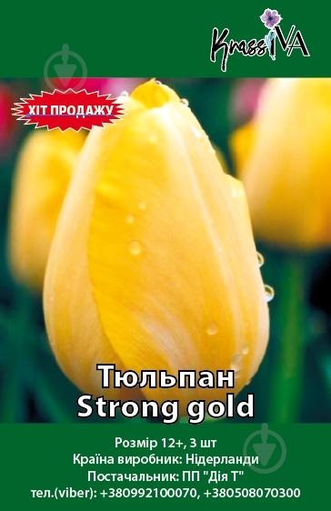 Луковица Тюльпан Strong gold 3 шт. - фото 1