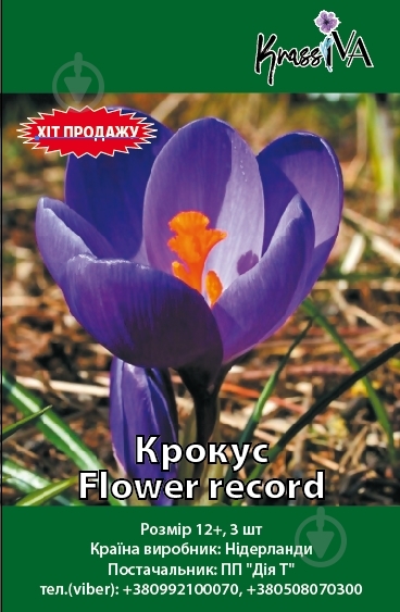 Луковица Крокус Flower record 3 шт. - фото 1