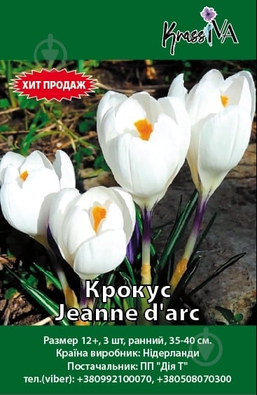 Цибулина Крокус Jeanne d'arc 3 шт. - фото 1