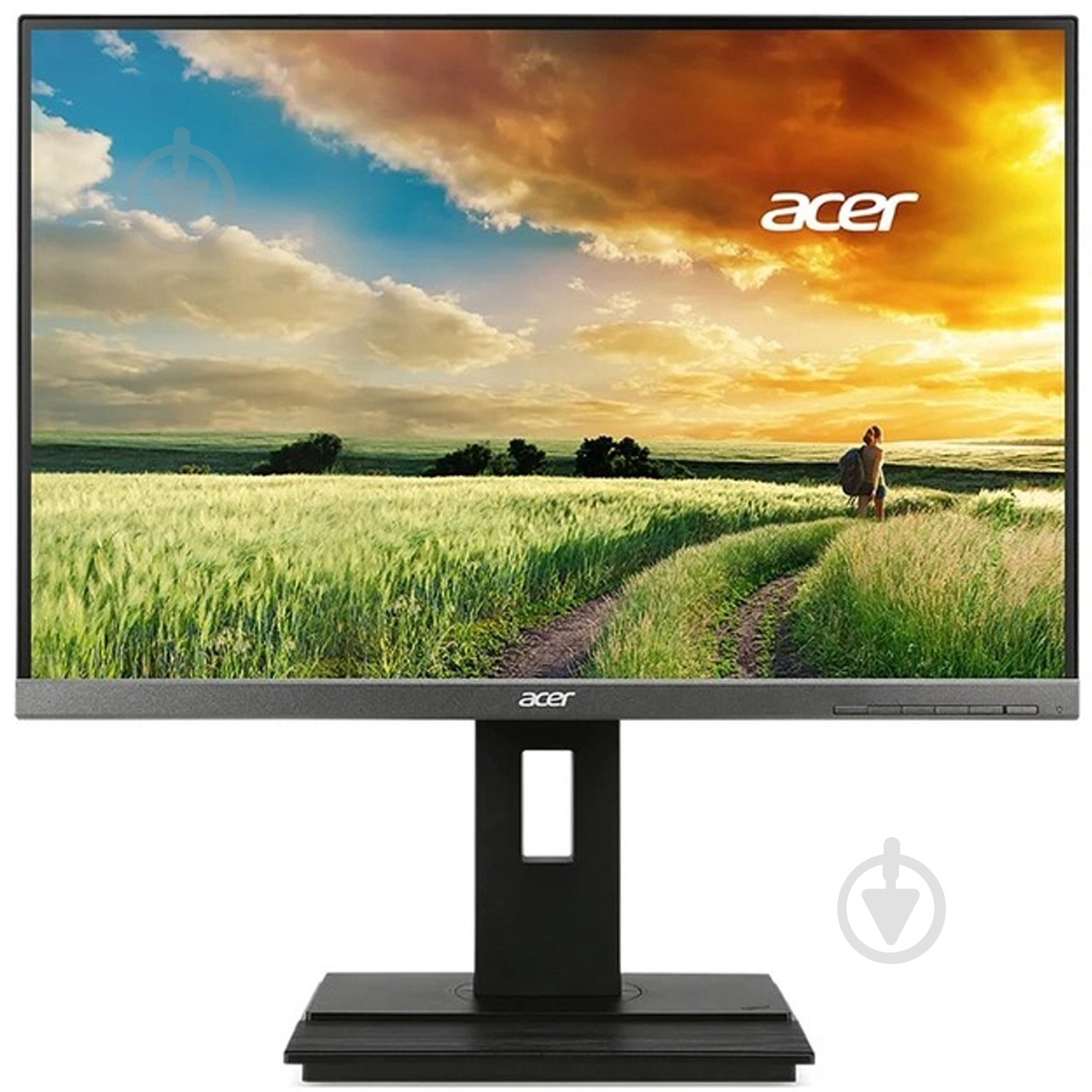 Монитор Acer B246WLAymdprx 24" (UM.FB6EE.A24) - фото 1
