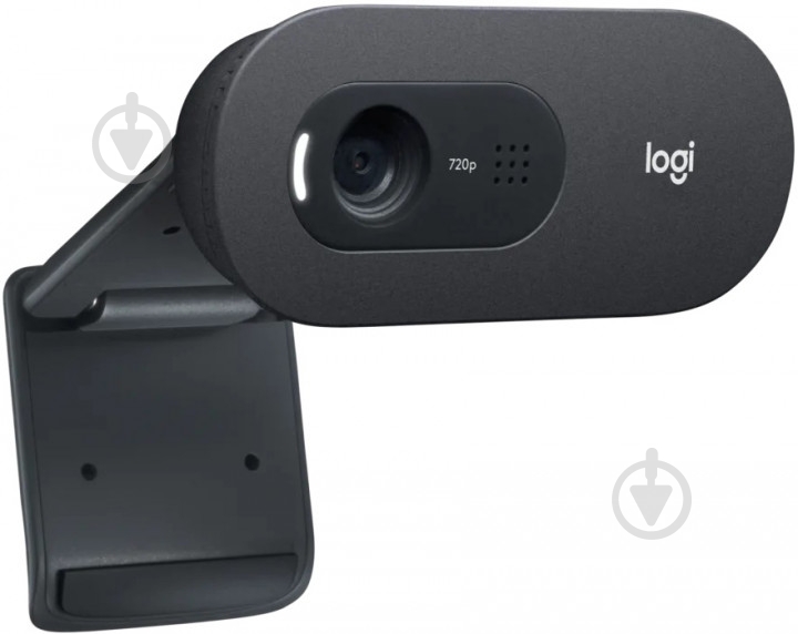 Веб-камера Logitech C505e HD (960-001372) - фото 3