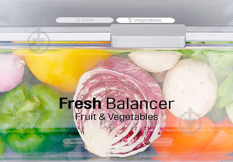 Холодильник LG GW-B459SEDZ - фото 22 Холодильник LG GW-B459SEDZ - фото 22